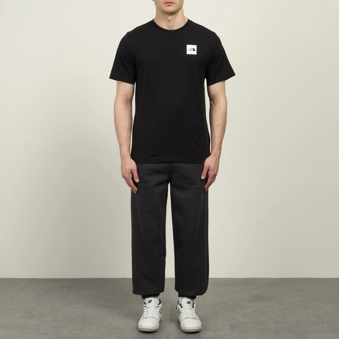 The North Face Мужская футболка Evolution Box Half Dome Regular