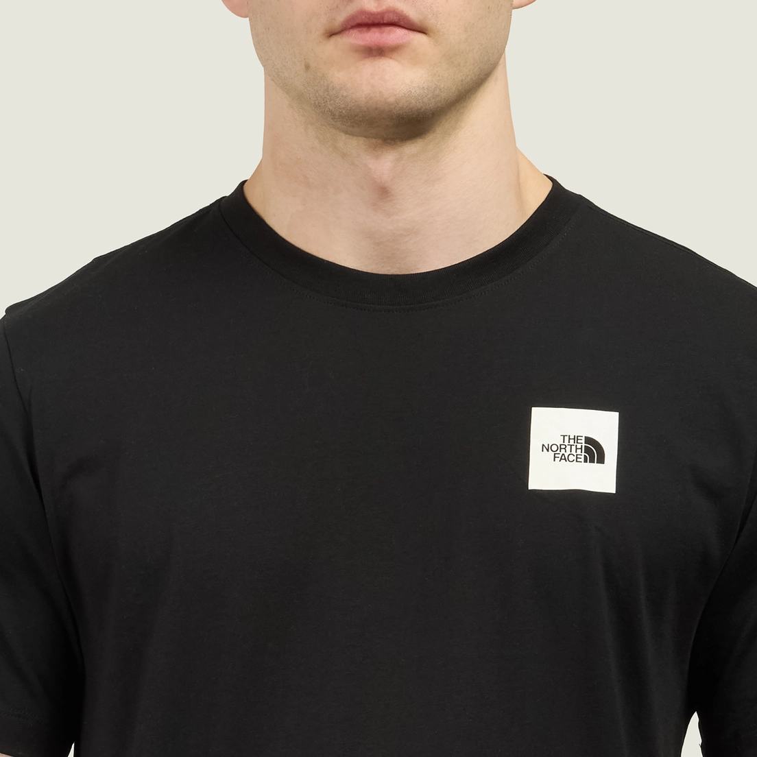 The North Face Мужская футболка Evolution Box Half Dome Regular