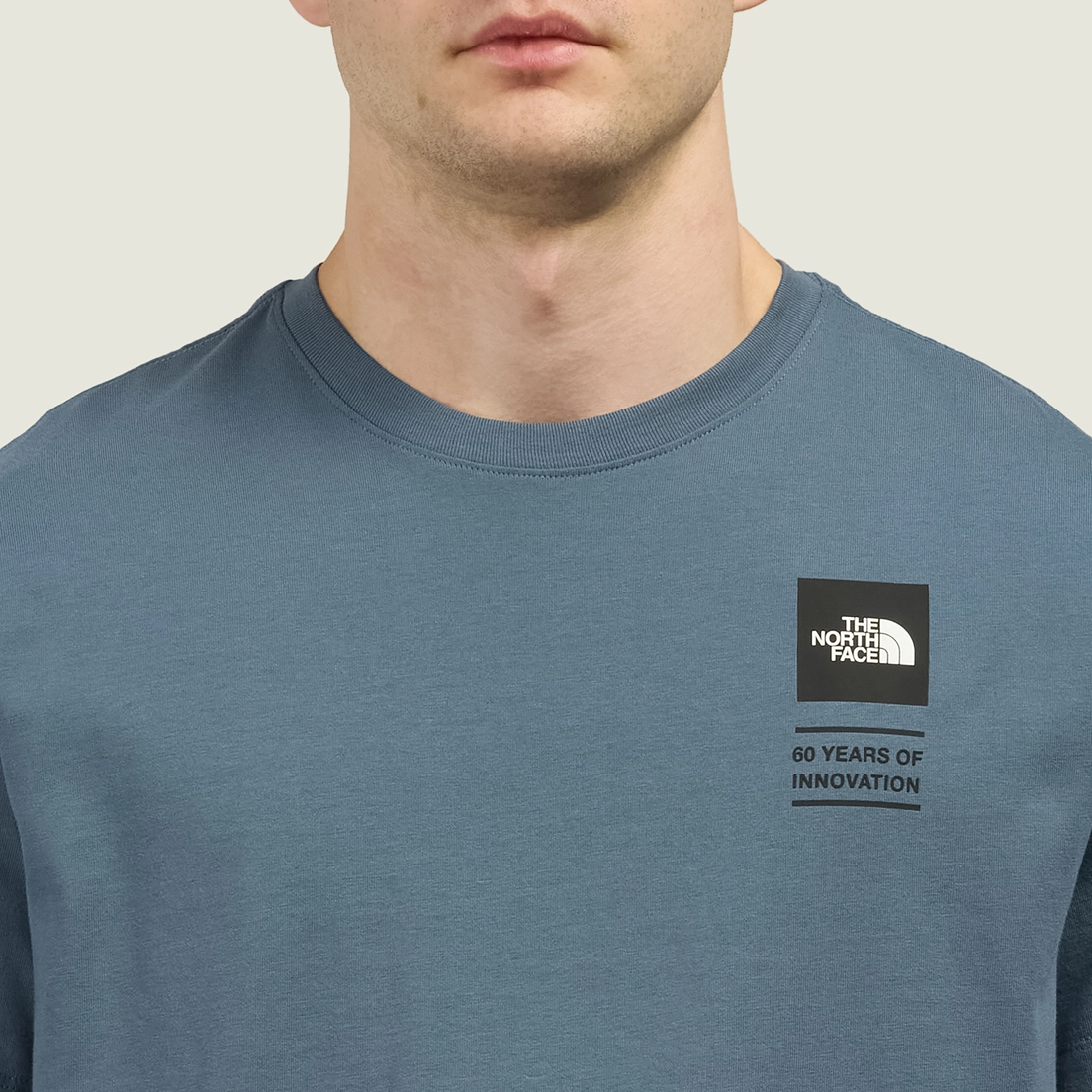 The North Face Мужская футболка Icon Celebration Regular