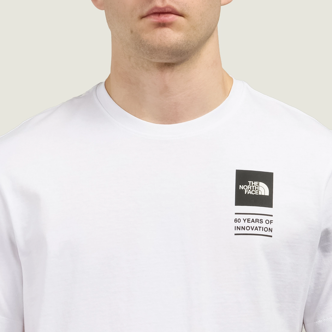 The North Face Мужская футболка Icon Celebration Regular