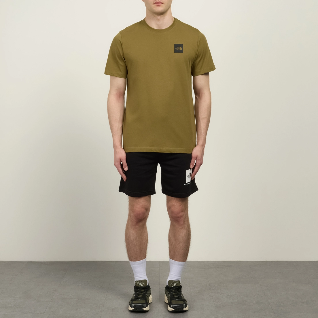 The North Face Мужские шорты Box NSE Light Regular