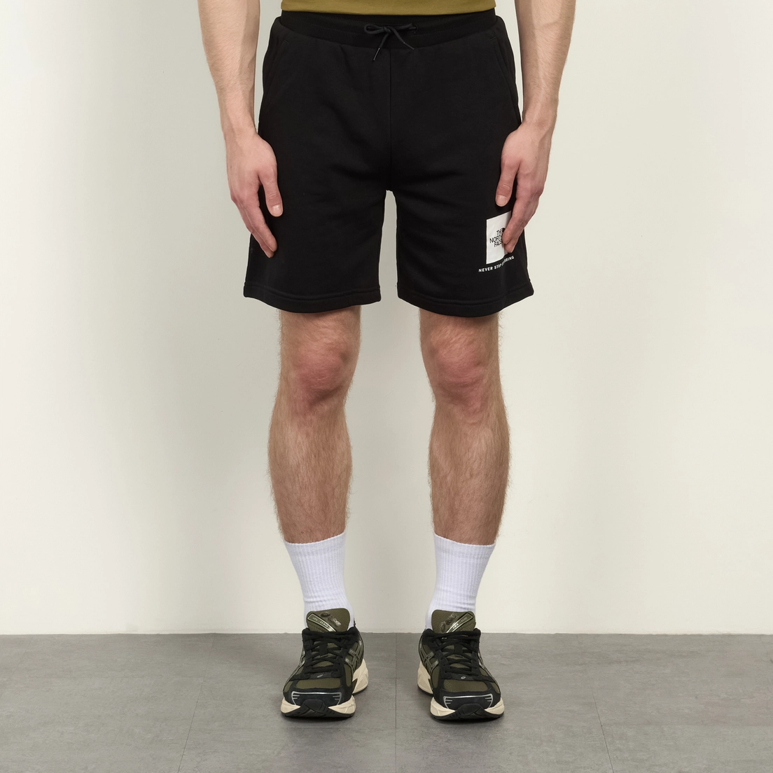 The North Face Мужские шорты Box NSE Light Regular