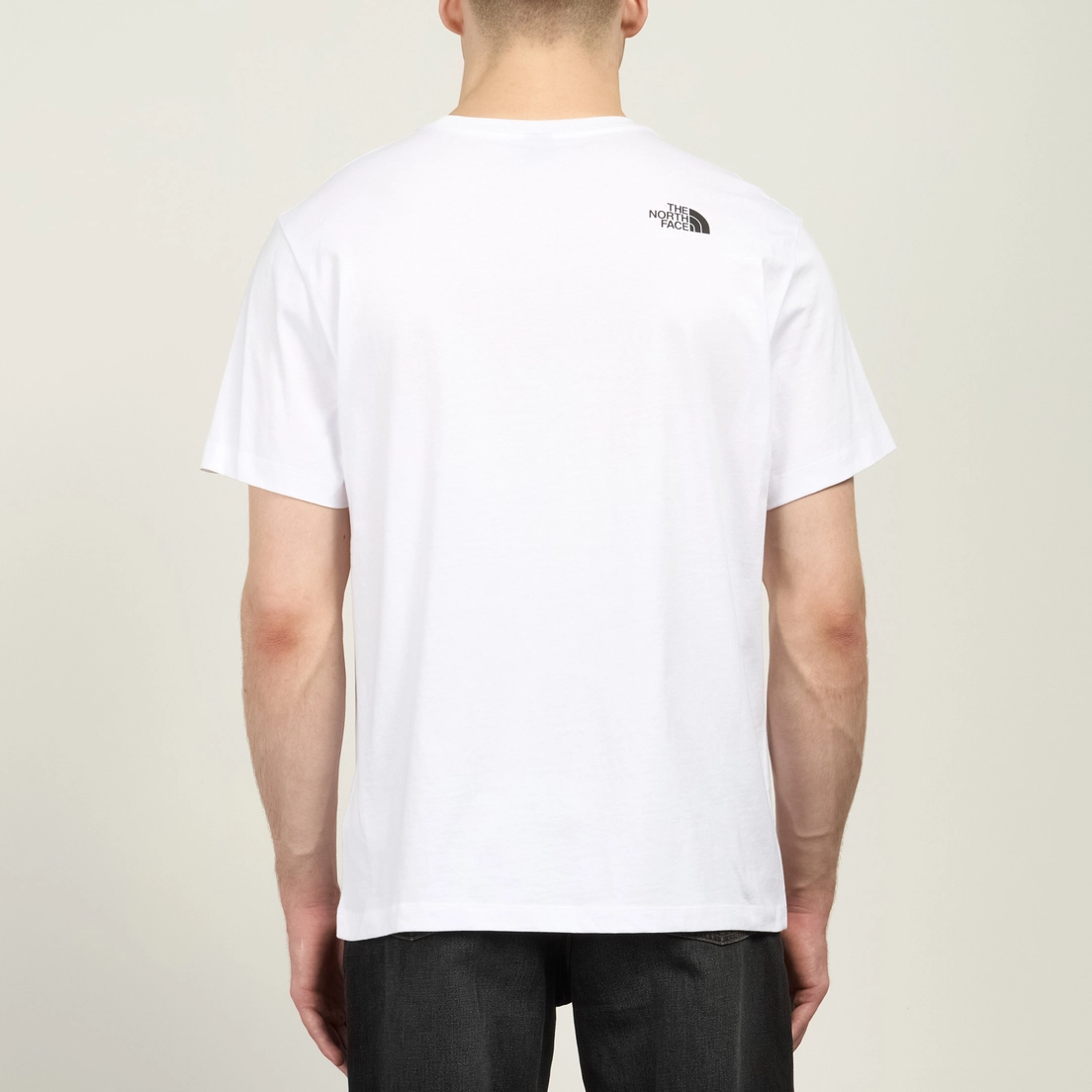 The North Face Мужская футболка Mountain Logo Relaxed