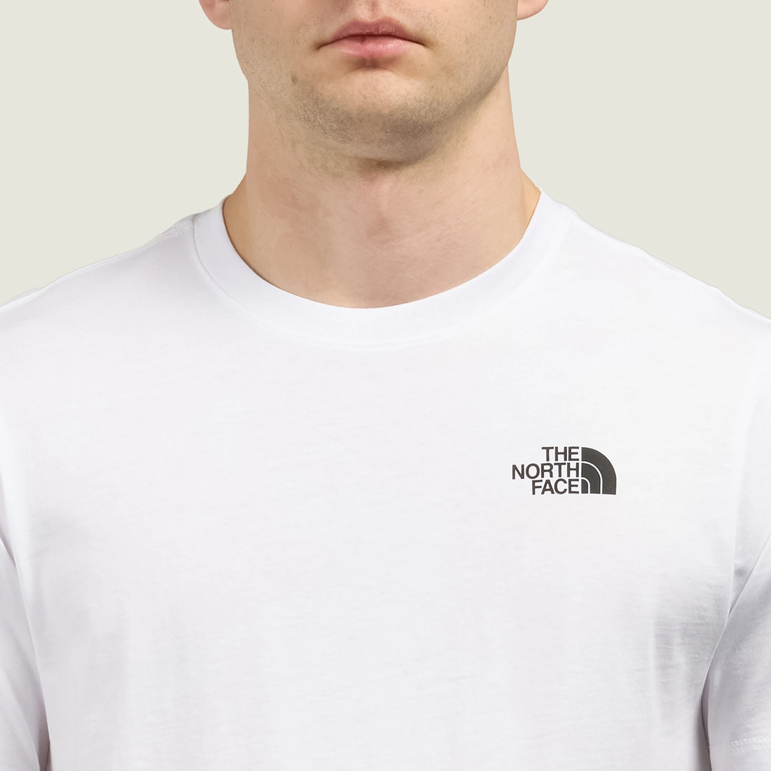 The North Face Мужская футболка North Faces Regular
