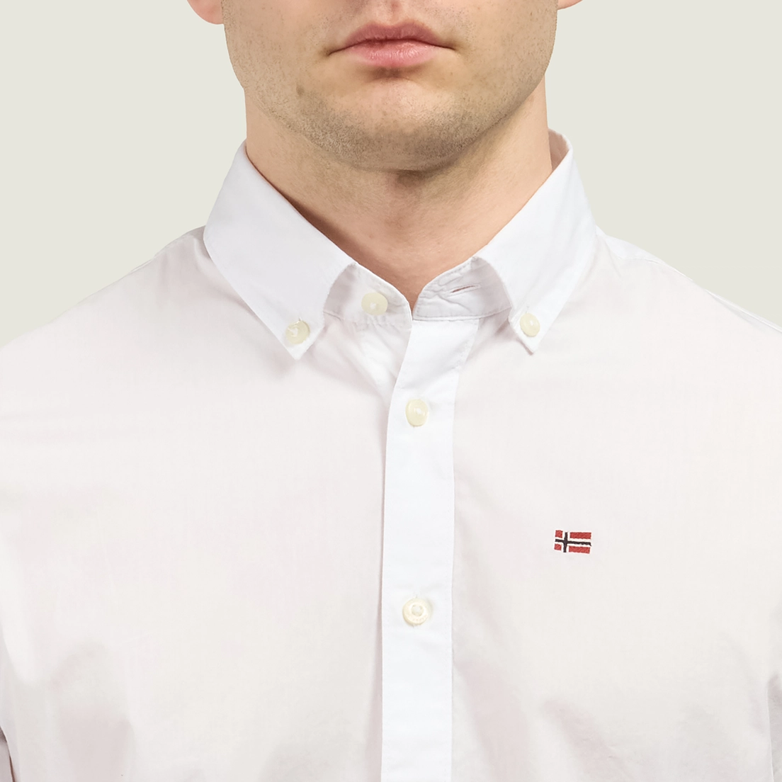 Napapijri Мужская рубашка Terra