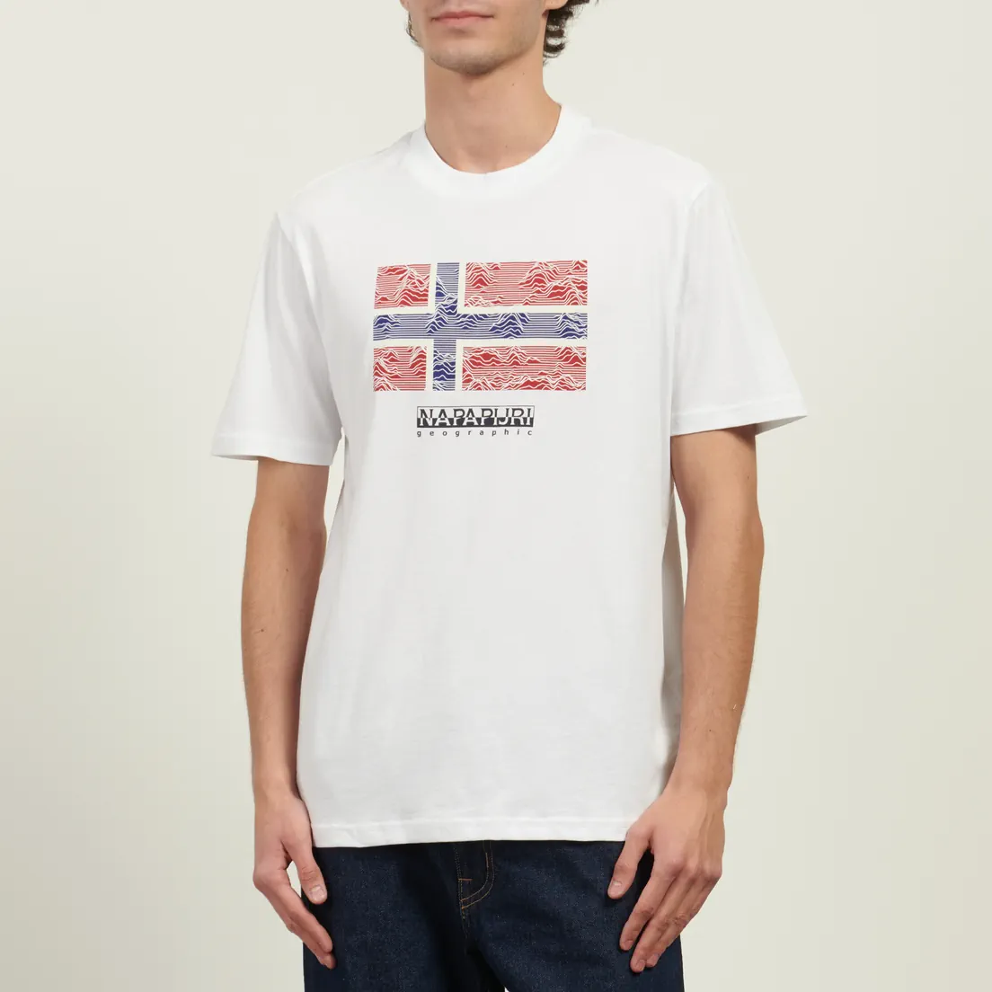 Napapijri Мужская футболка Drapeau