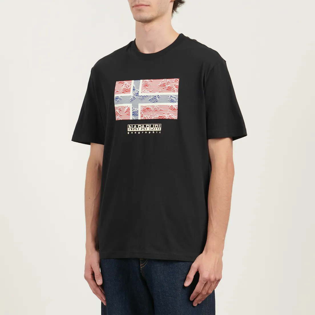 Napapijri Мужская футболка Drapeau