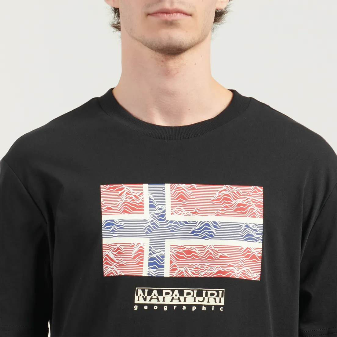 Napapijri Мужская футболка Drapeau