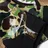 adidas x Bape