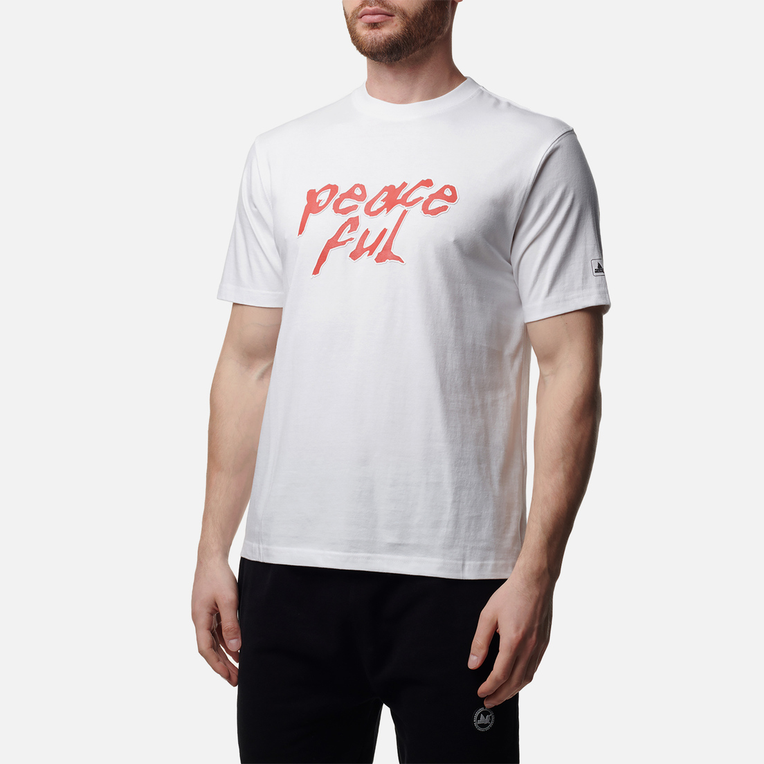 Peaceful Hooligan Мужская футболка Daft