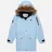 Arctic Explorer