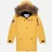 Arctic Explorer