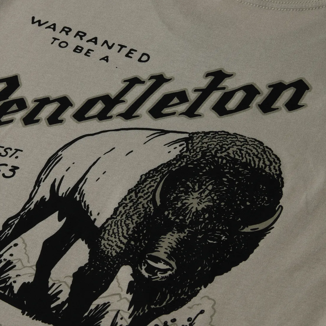 Pendleton Мужская футболка Vintage Buffalo Graphic