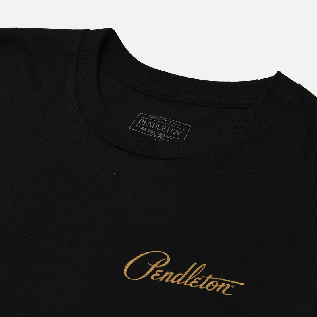 Pendleton Мужская футболка Tye River Graphic