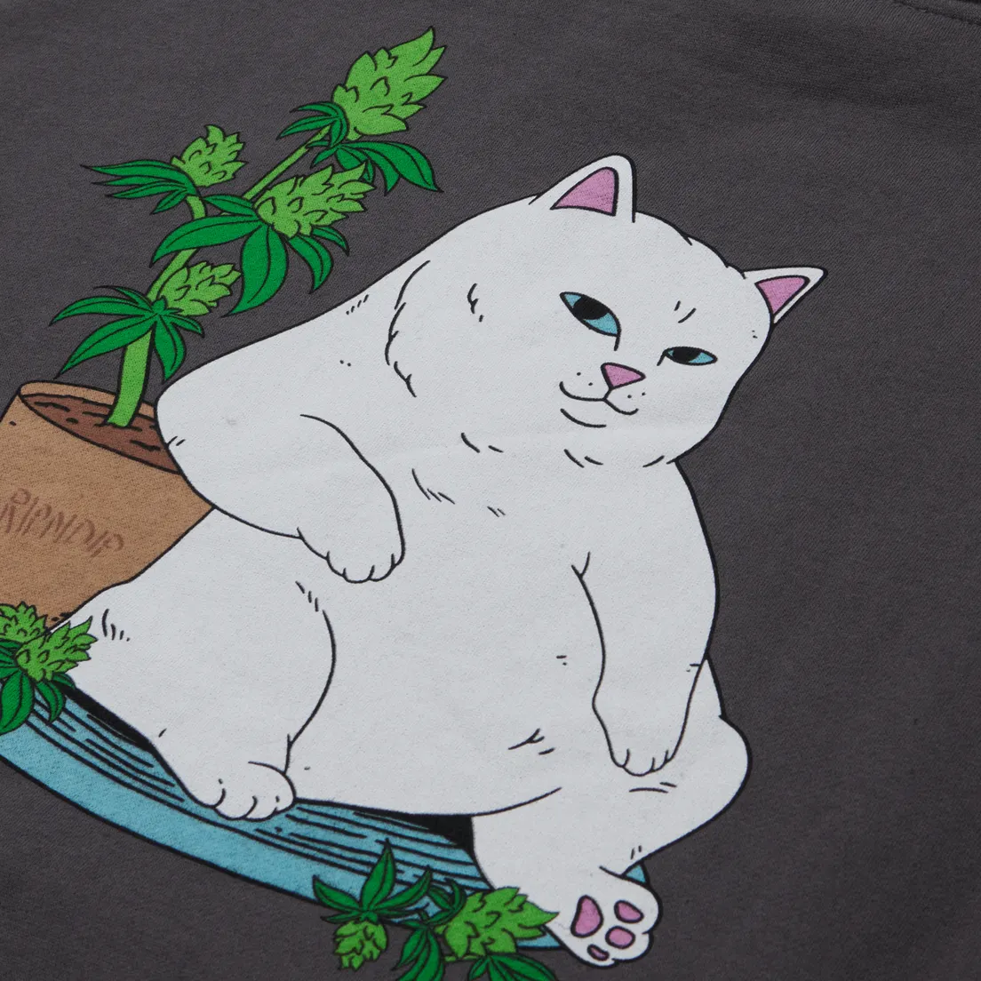 RIPNDIP Мужская толстовка Flower Boy Hoodie