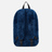 RIPNDIP