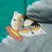 RIPNDIP