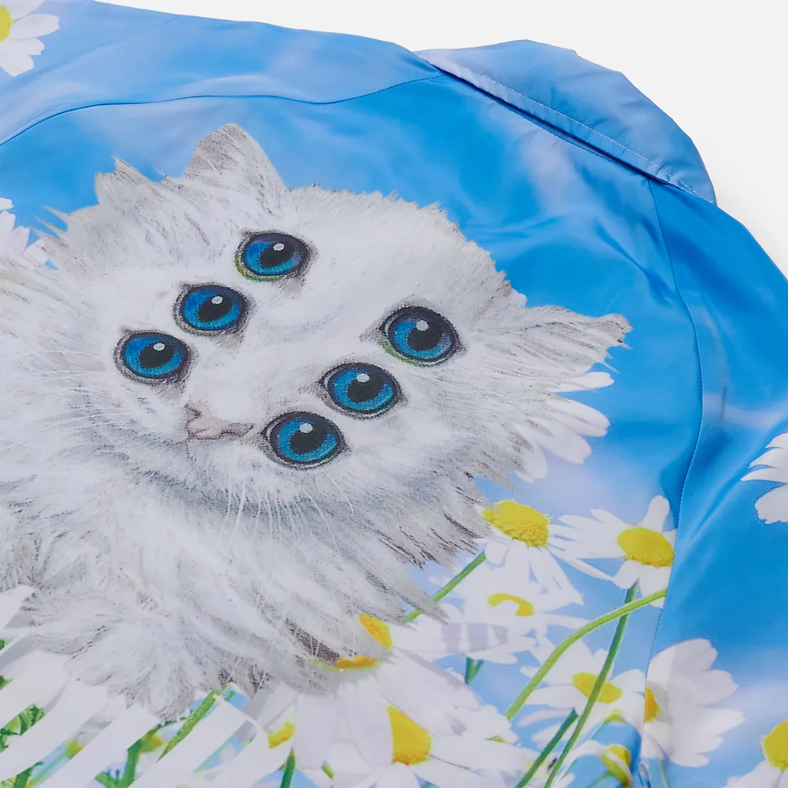 RIPNDIP Мужская куртка Triplet Fields Coach