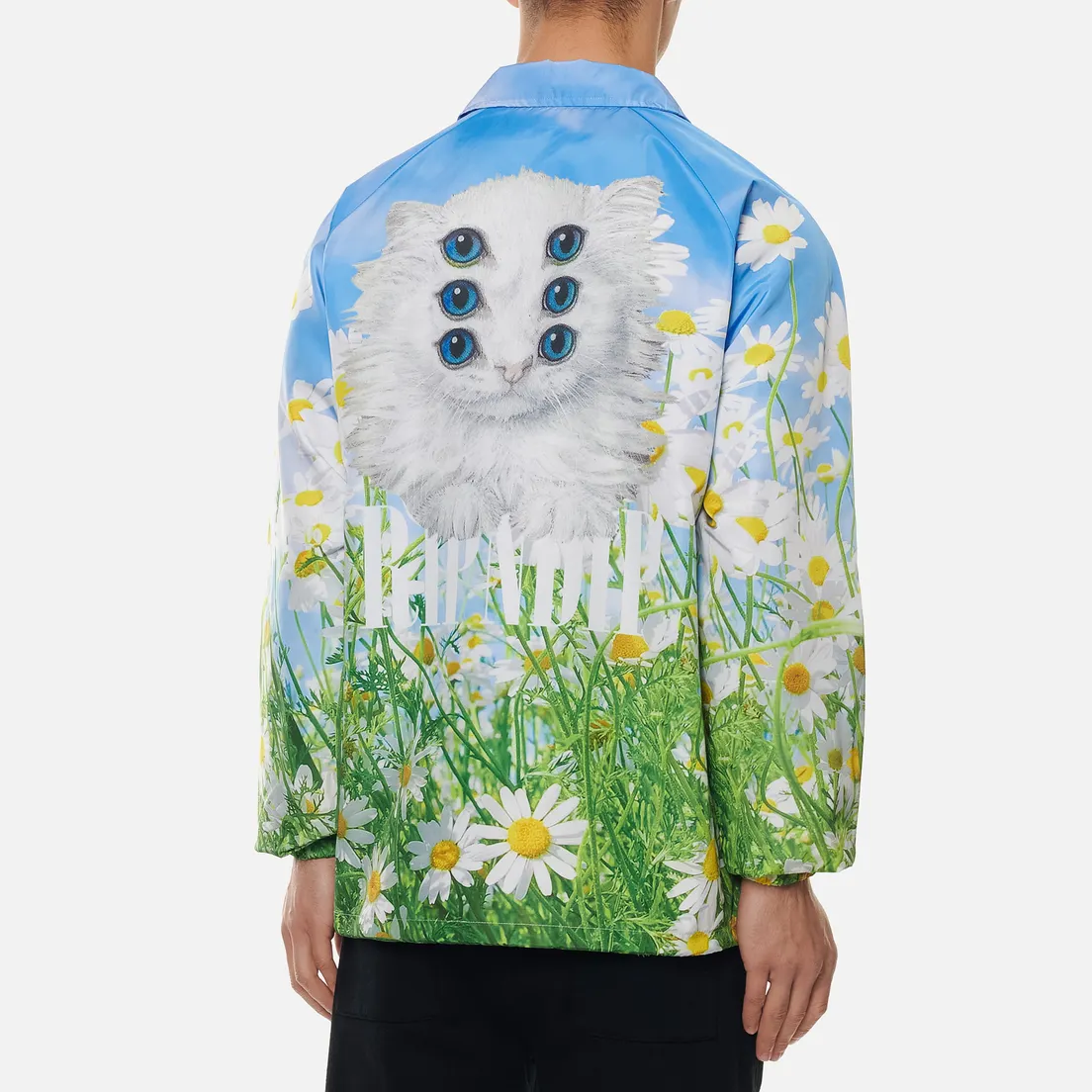 RIPNDIP Мужская куртка Triplet Fields Coach