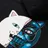 RIPNDIP