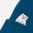 RIPNDIP
