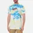 RIPNDIP
