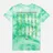 RIPNDIP