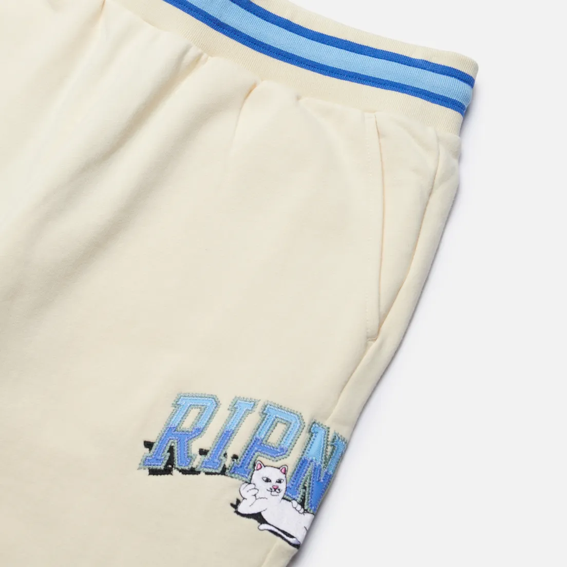 RIPNDIP Мужские брюки Team Spirit Embroidered
