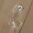 RIPNDIP