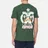 RIPNDIP