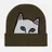 RIPNDIP