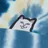 RIPNDIP