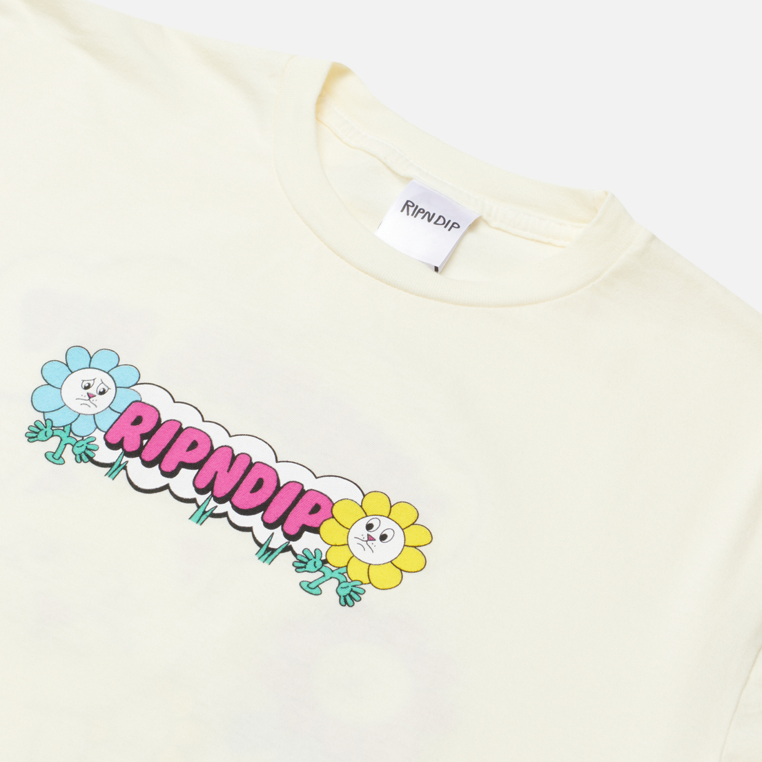 RIPNDIP