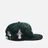 RIPNDIP