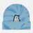RIPNDIP