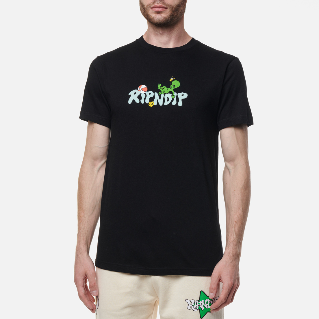 RIPNDIP