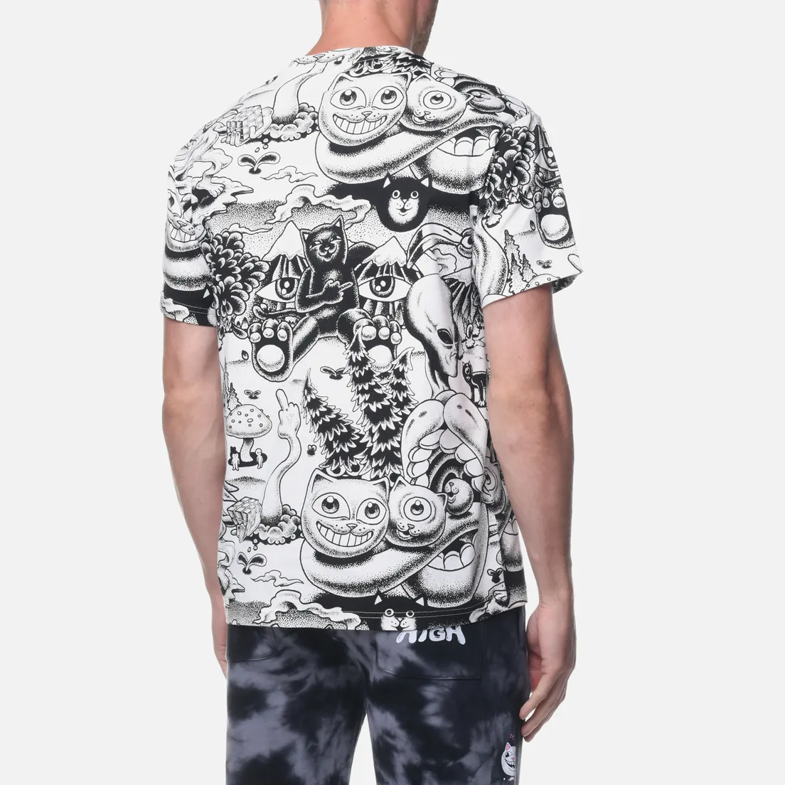 RIPNDIP Мужская футболка Dark Twisted Fantasy