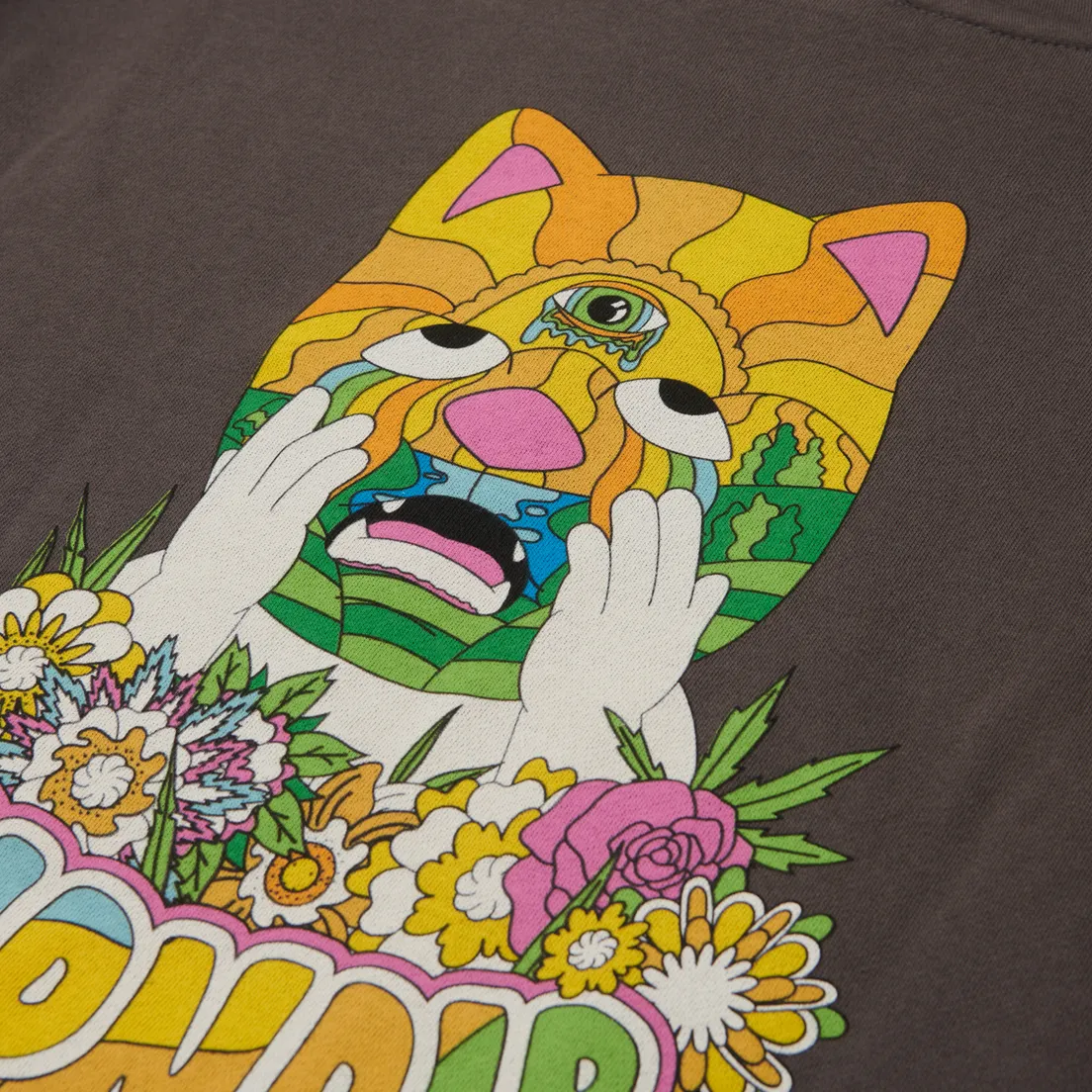 RIPNDIP Мужская толстовка Pretty Sad Hoodie