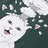 RIPNDIP