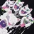 RIPNDIP