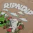 RIPNDIP