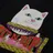 RIPNDIP