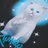 RIPNDIP