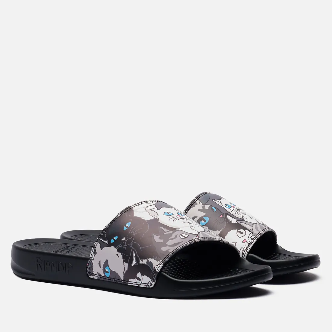 RIPNDIP Сланцы Family Tree