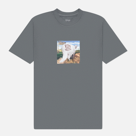 Мужская футболка RIPNDIP Rowdy Howdy, цвет серый