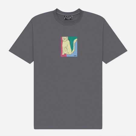 Мужская футболка RIPNDIP Nermhol, цвет серый, размер XXL