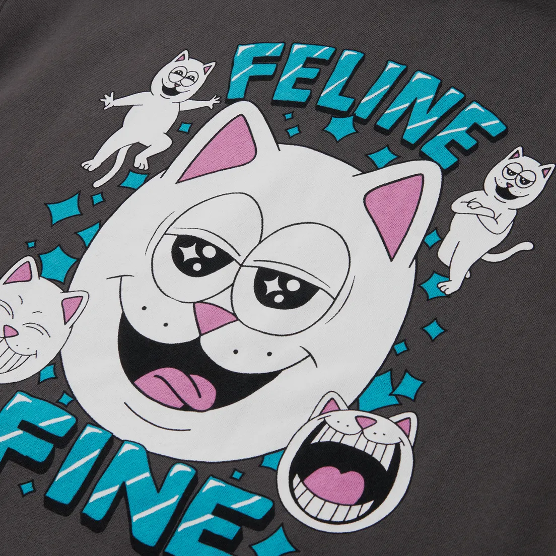 RIPNDIP Мужская толстовка Feline Fine Hoodie