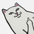 RIPNDIP