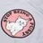 RIPNDIP