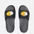 RIPNDIP